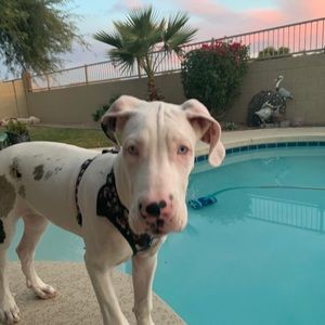 Meet your Posher, Beth-mick